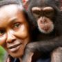 Discover the Diverse Wildlife of Sierra Leone